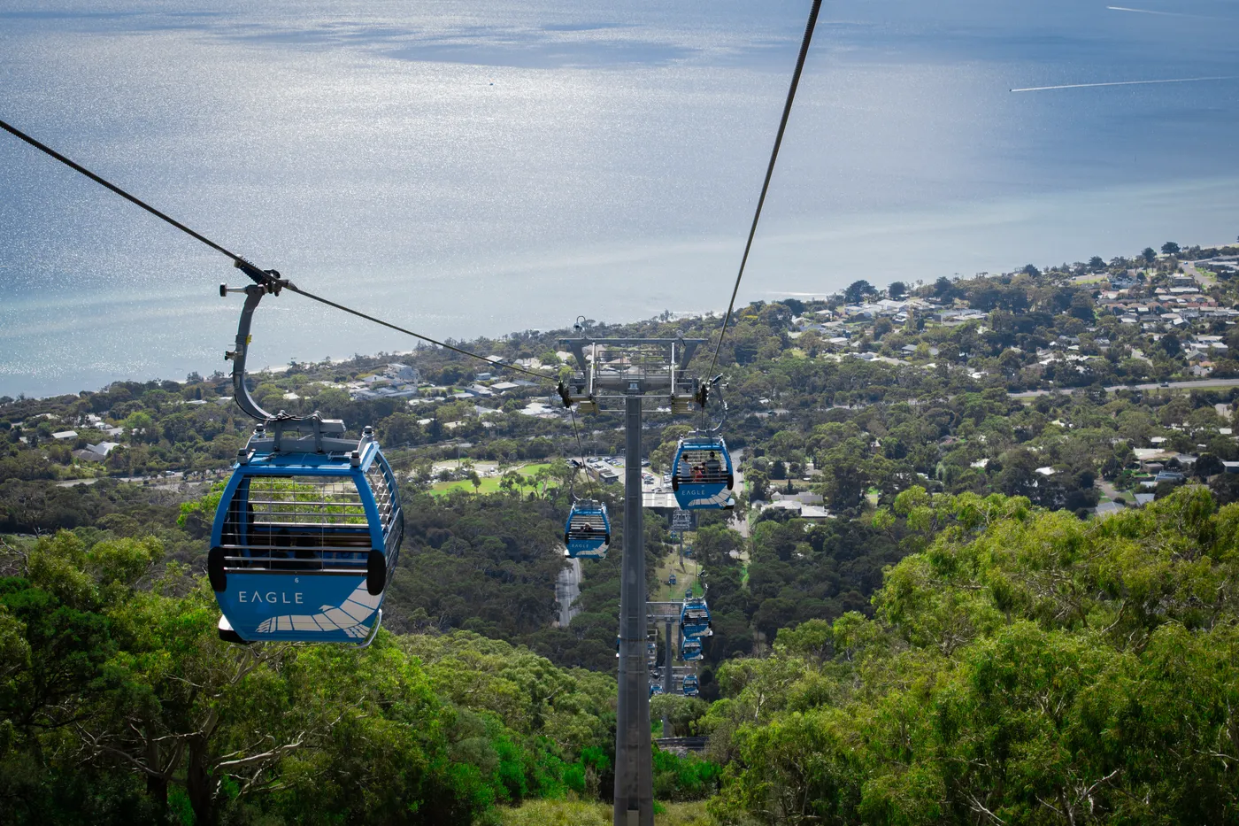 Arthurs Seat Eagle
