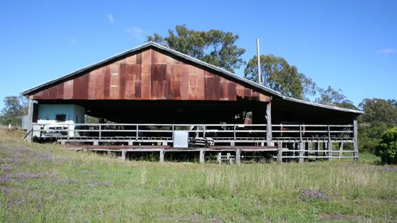 Old Steam Sawmill