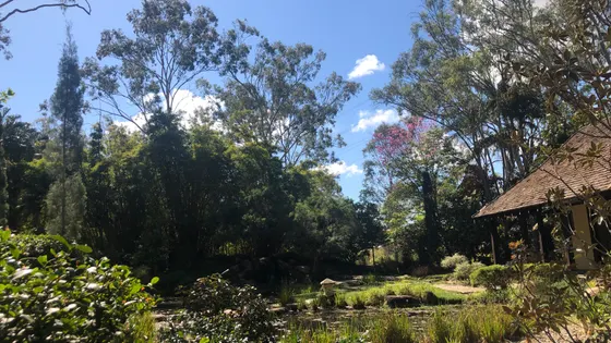 Tondoon Botanic Gardens