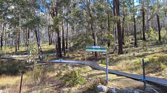 Corin Forest