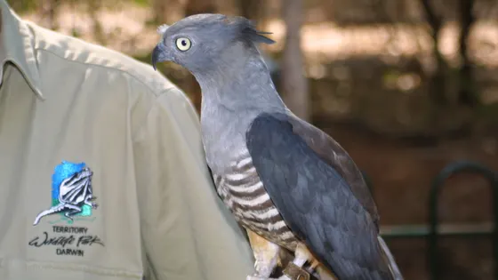 Territory Wildlife Park