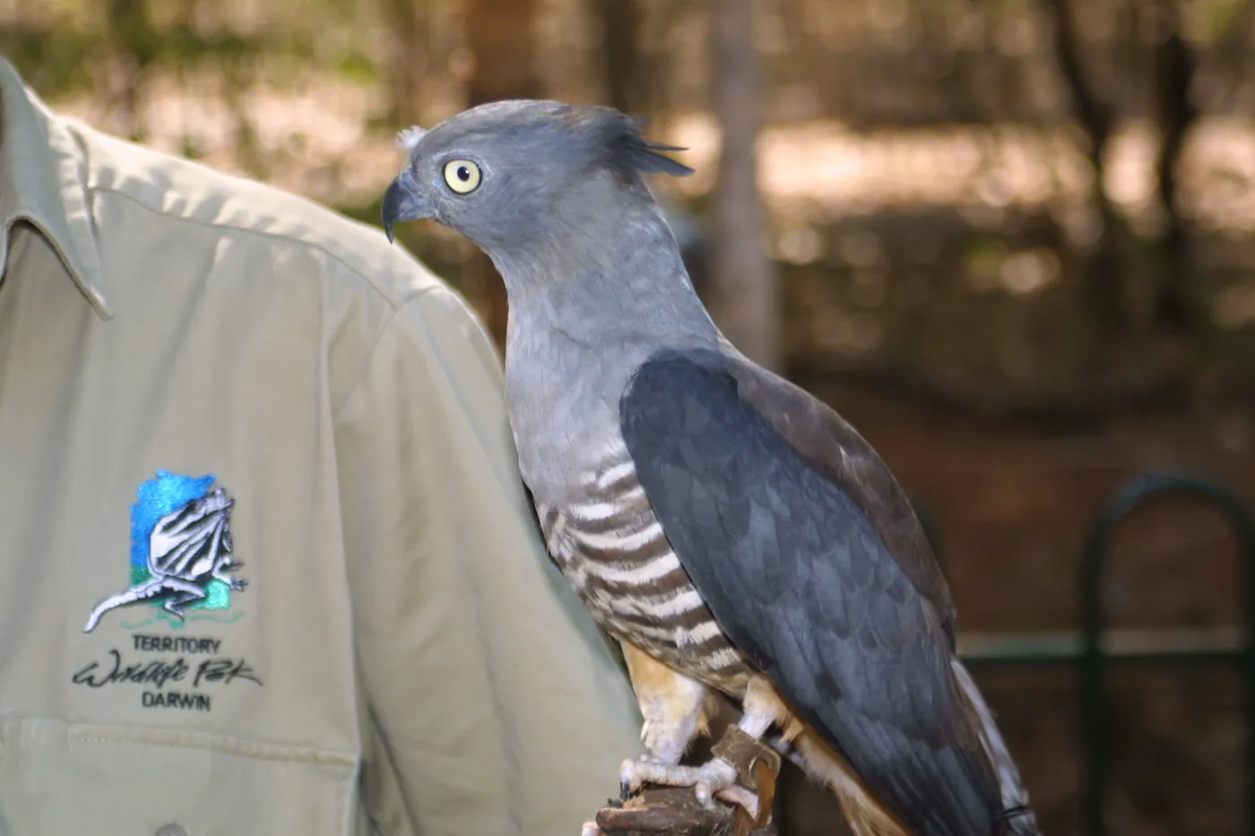 Territory Wildlife Park
