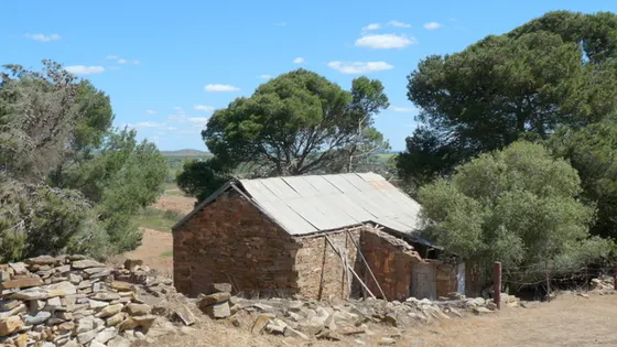 Hampton Village Ruins
