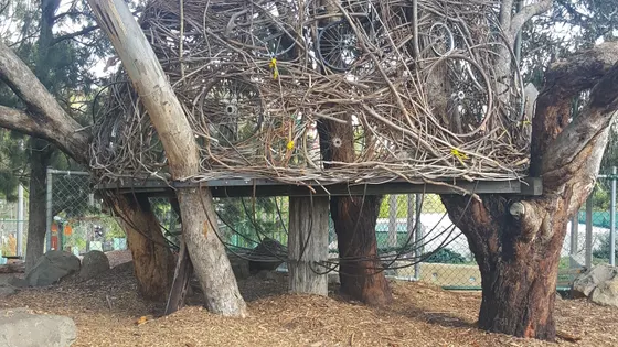 CERES Community Environment Park