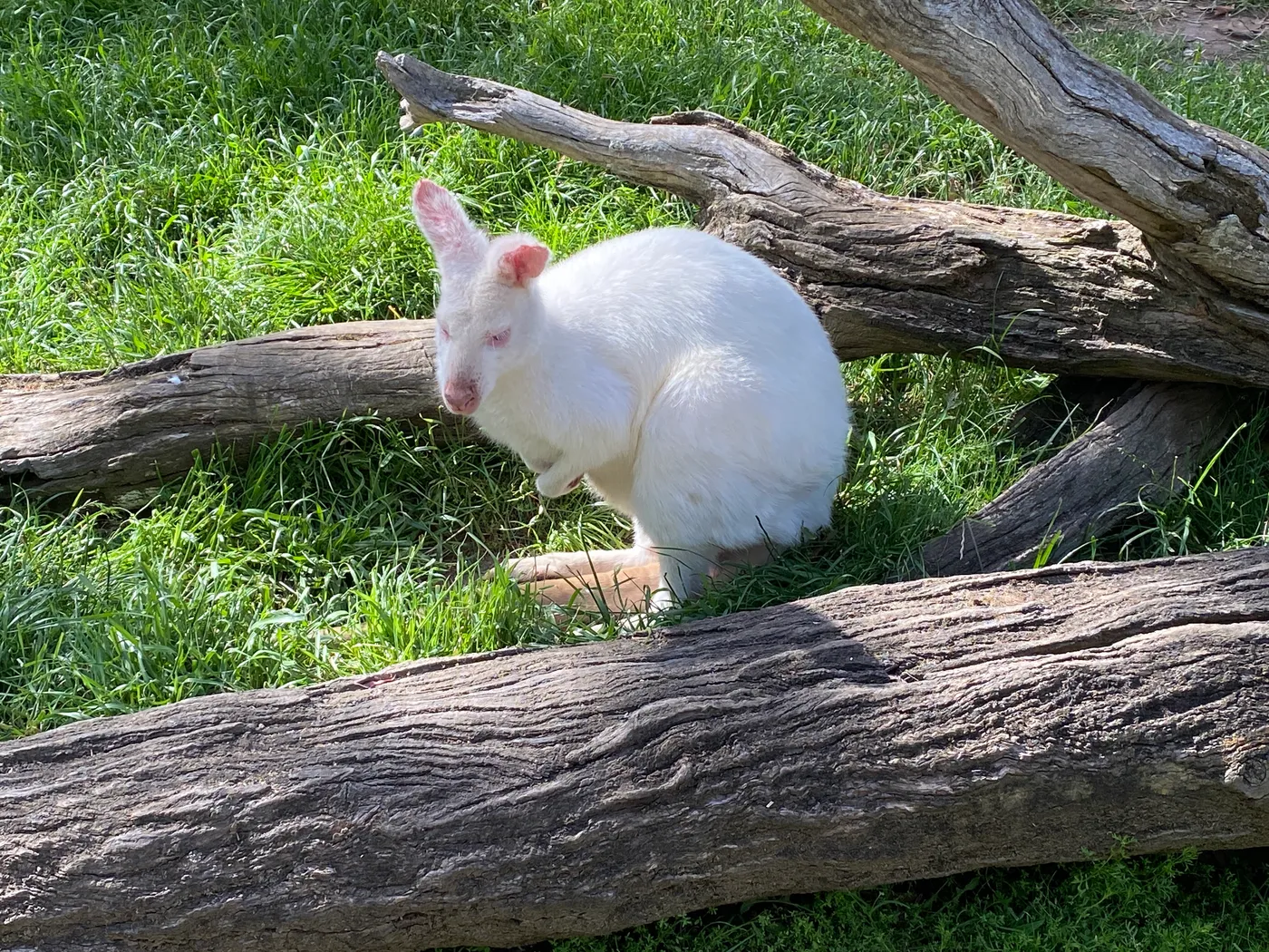 Gorge Wildlife Park