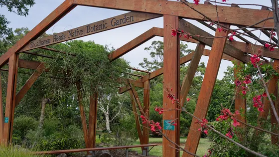 Shoalhaven Heads Native Botanic Garden