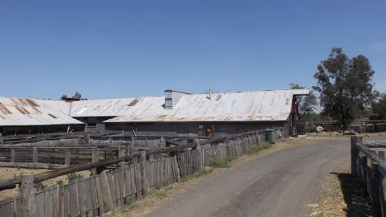 Jondaryan Woolshed