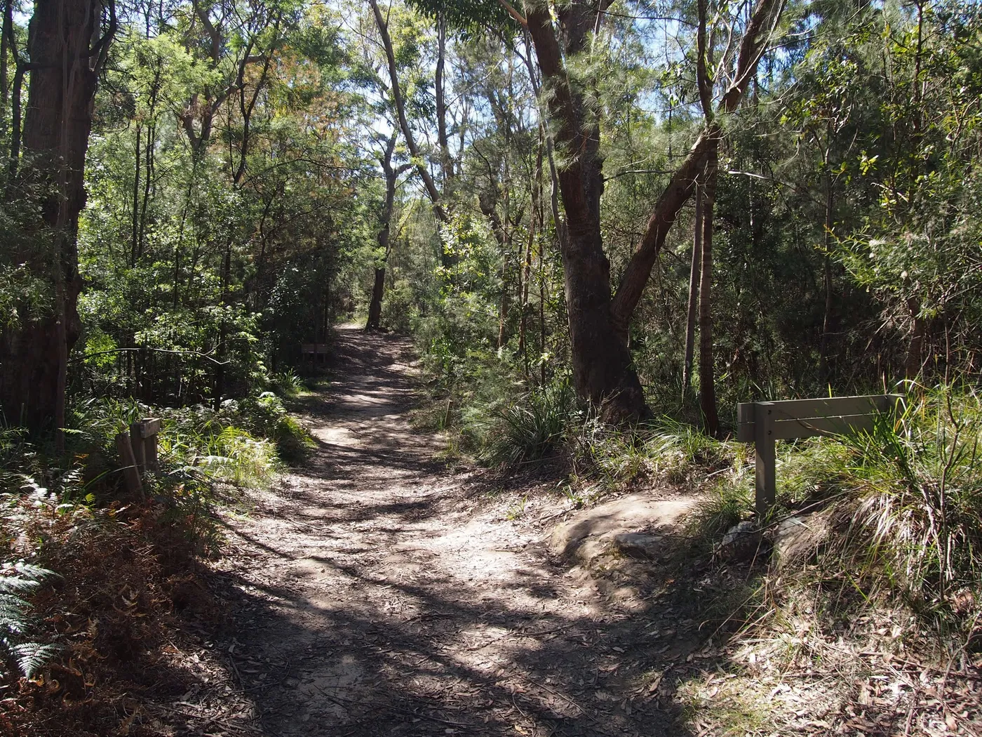 Ku-ring-gai Wildflower Garden