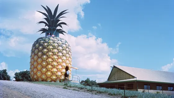 The Big Pineapple
