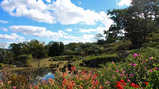 Maleny Botanic Gardens