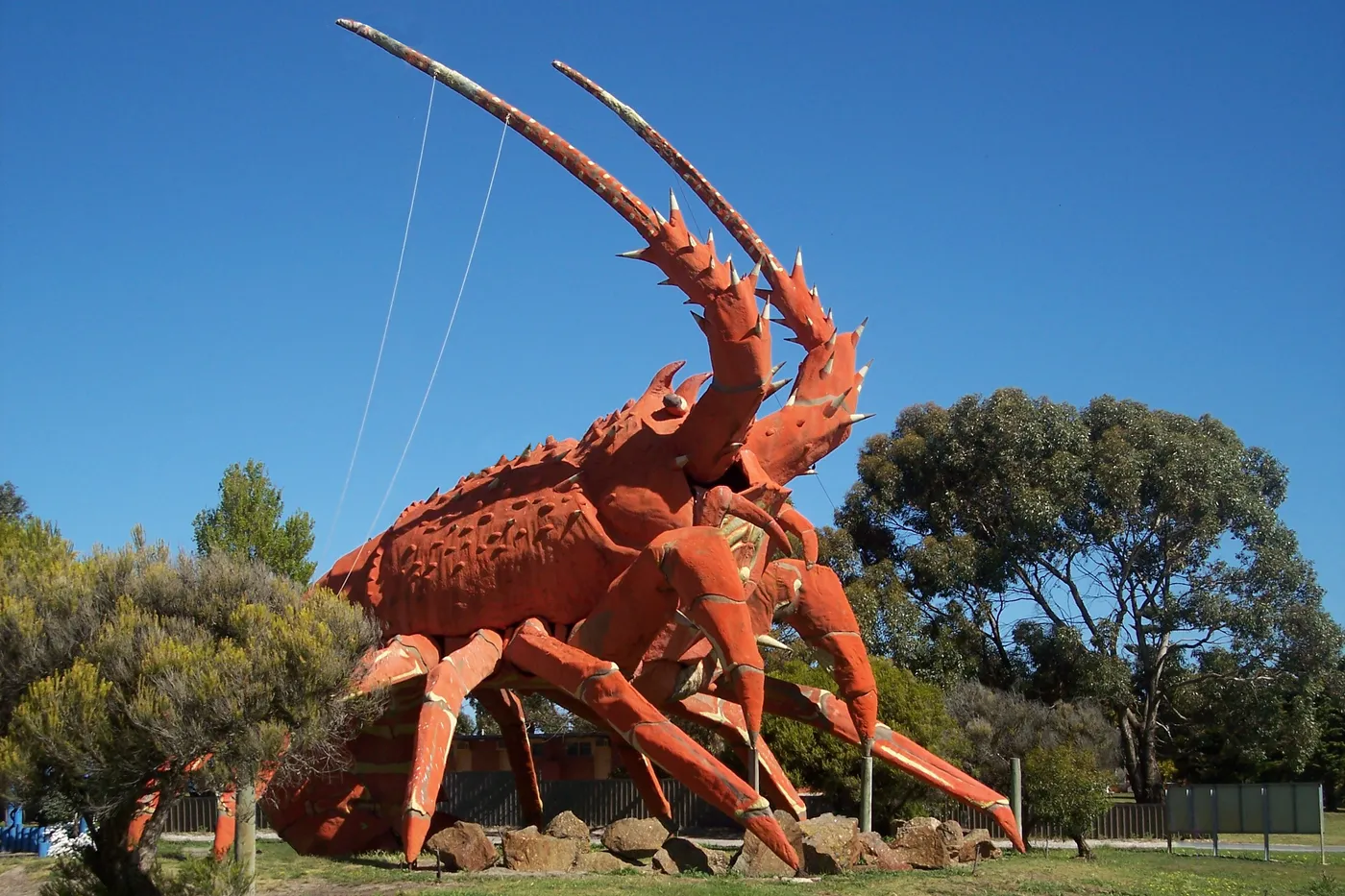 The Big Lobster