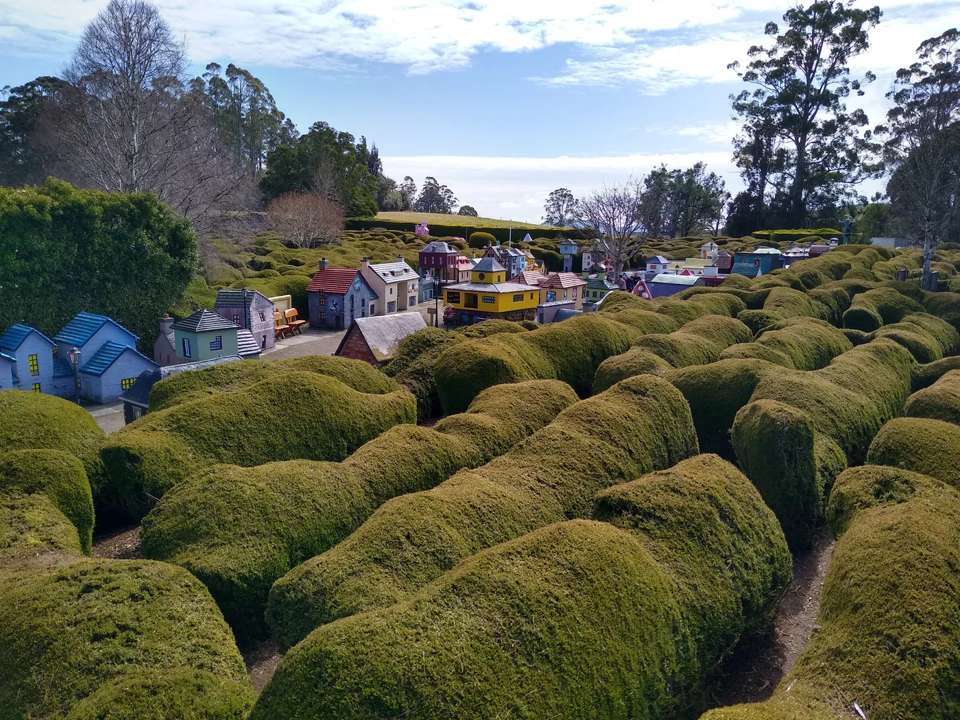 Tasmazia and the Village of Lower Crackpot