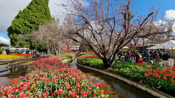Corbett Gardens