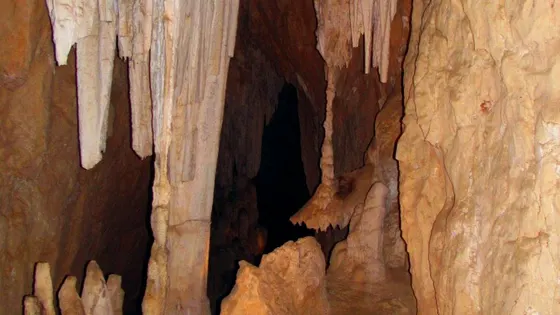Wombeyan Caves