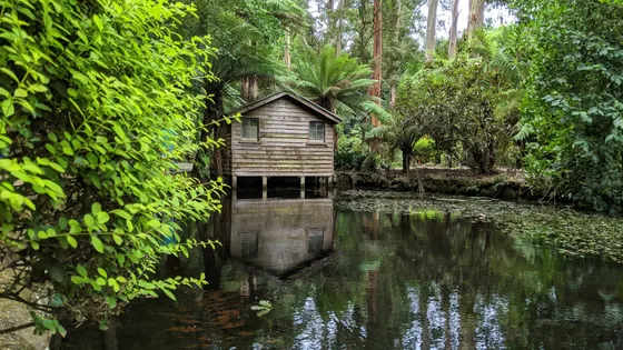 Alfred Nicholas Memorial Gardens