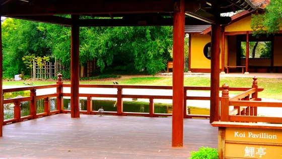 Gosford Regional Gallery and Edogawa Commemorative Garden