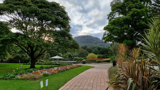 Wollongong Botanic Garden