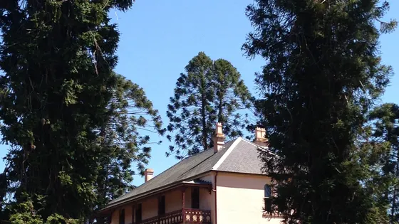 Bella Vista Farm
