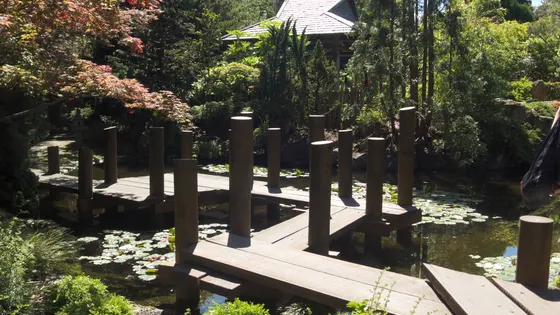 Royal Tasmanian Botanical Gardens
