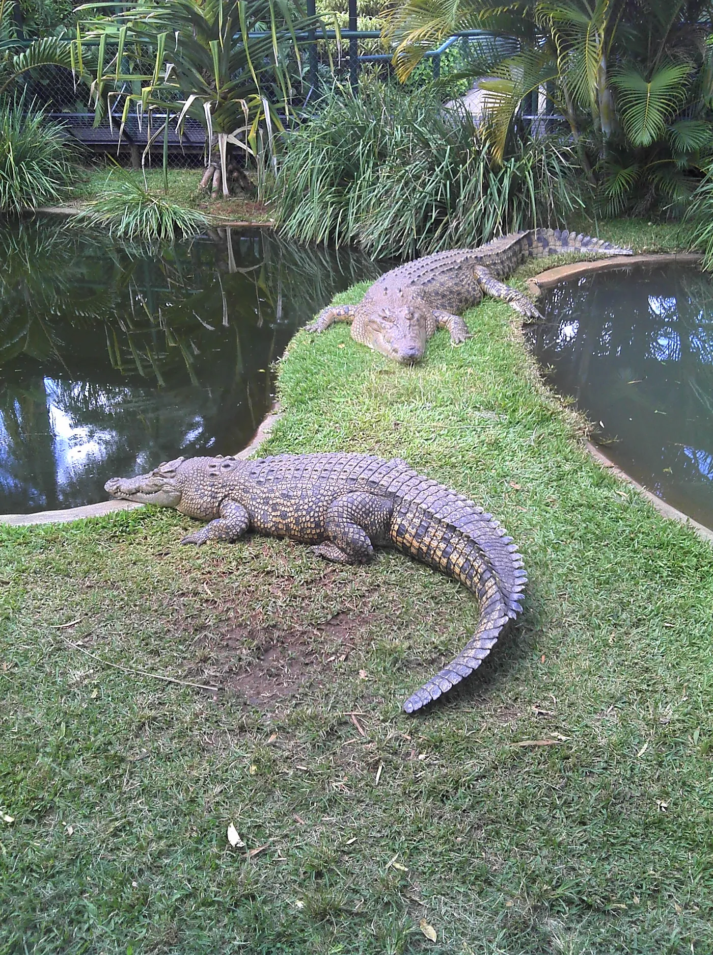 Snakes Downunder Reptile Park & Zoo