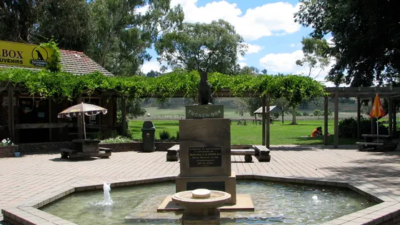 Dog on the Tuckerbox