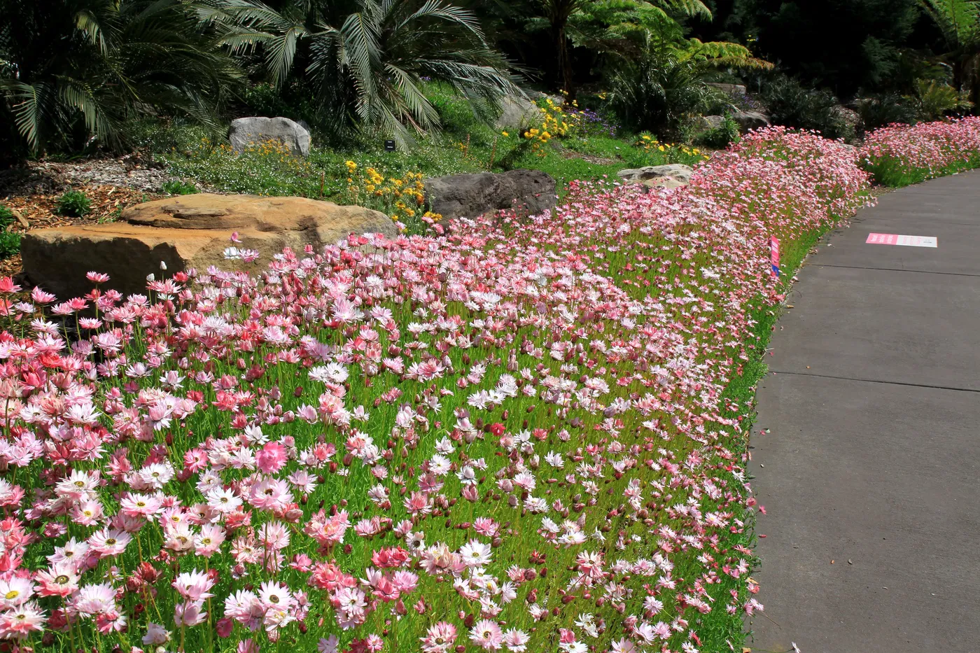 Australian Botanic Garden Mount Annan
