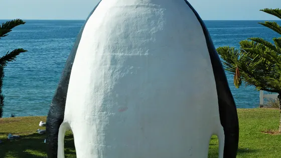 The Big Penguin