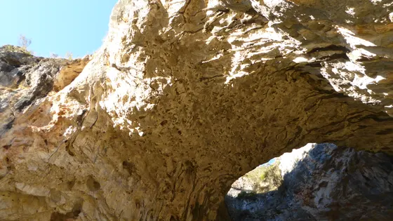 Yarrangobilly Caves (South Glory Cave)