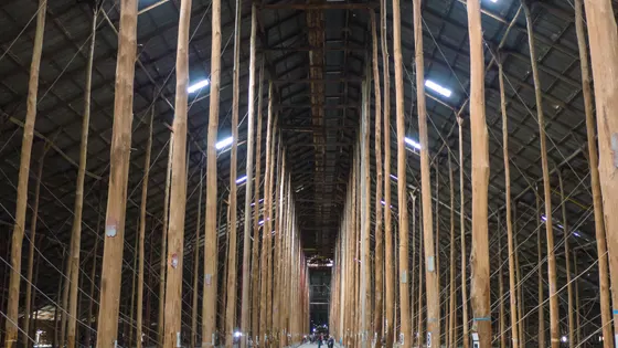 The Stick Shed