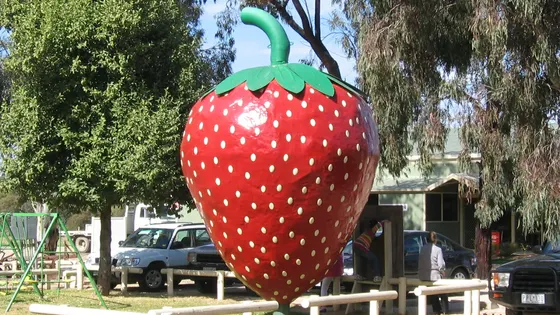 The Big Strawberry