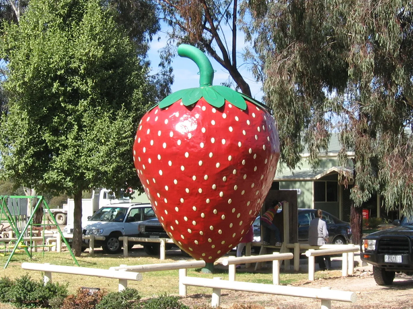 The Big Strawberry