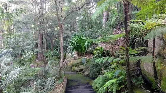 Joseph Banks Native Plants Reserve