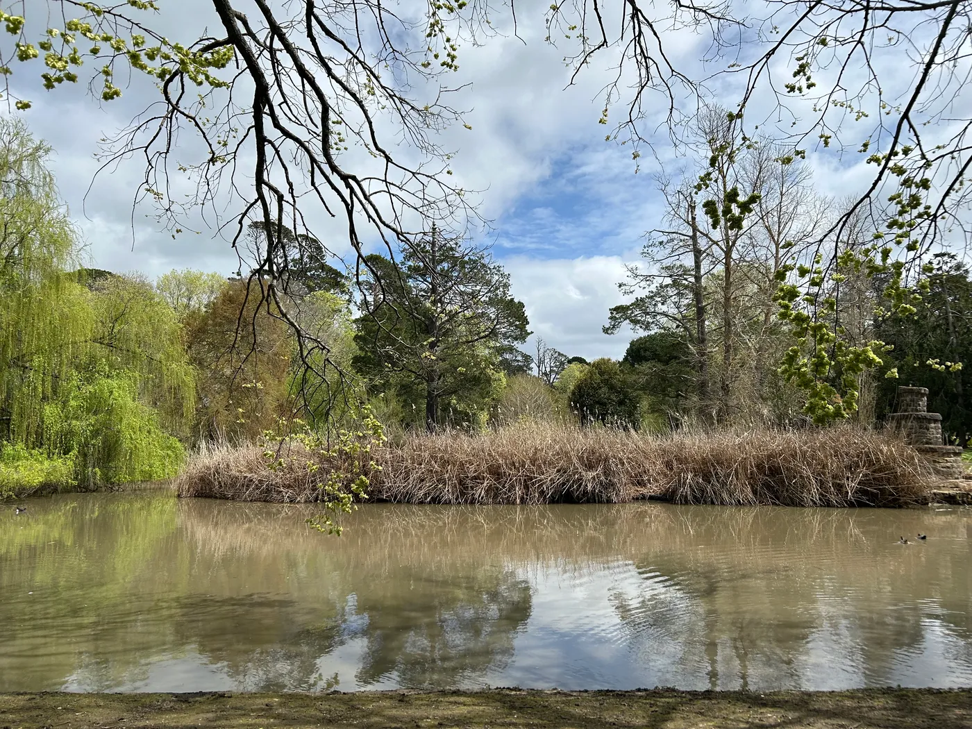 Malmsbury Botanic Gardens