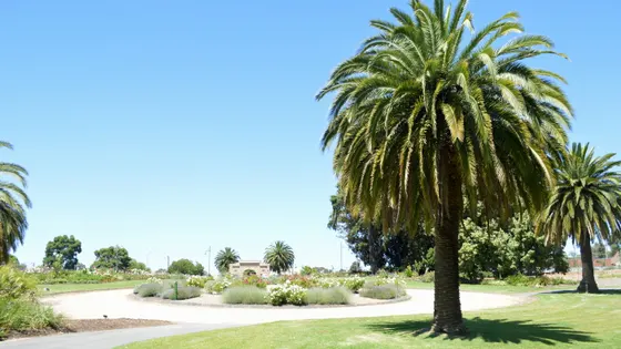 Bendigo Botanic Gardens