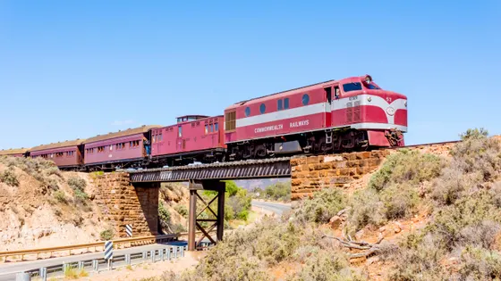 Pichi Richi Railway