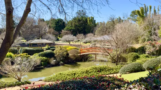Japanese Garden Ju Raku En