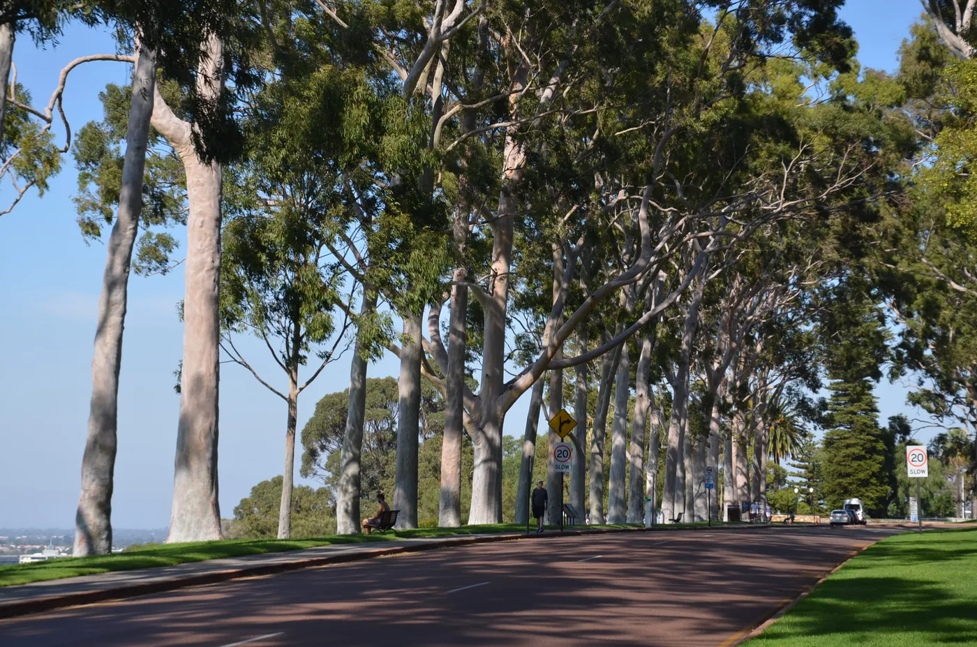 Kings Park and Botanic Garden