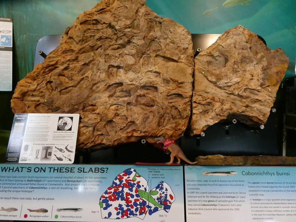 The Age Of Fishes Museum