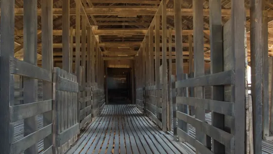 Kinchega Woolshed