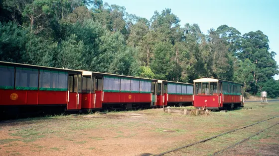 Pemberton Tramway