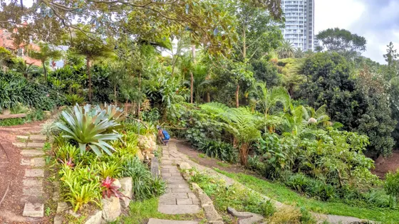 Wendy Whiteley's Secret Garden