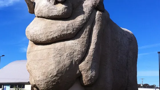 The Big Merino