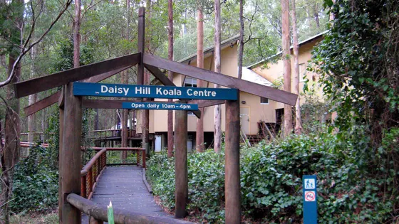 Daisy Hill Koala Centre