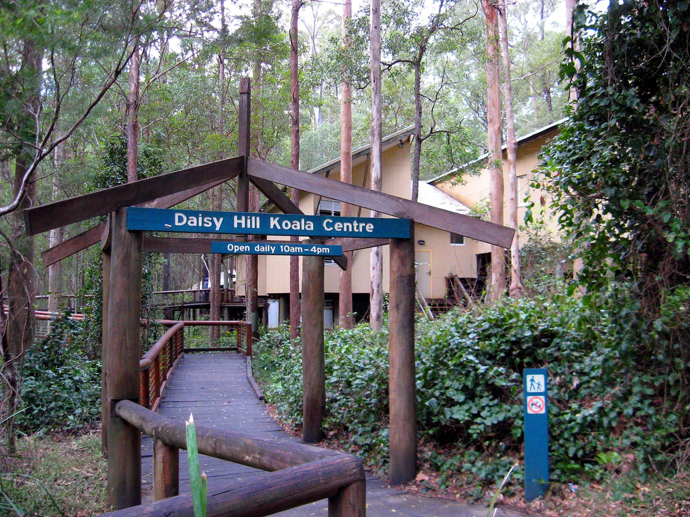 Daisy Hill Koala Centre