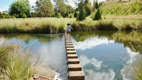 Tasmanian Arboretum