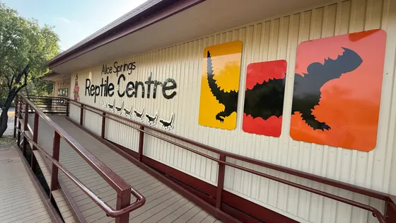 Alice Springs Reptile Centre