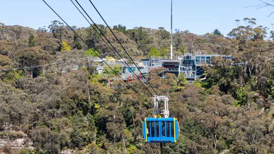 Scenic World