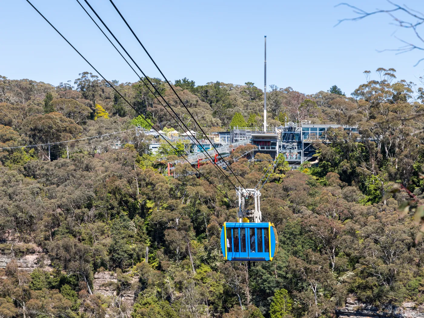 Scenic World