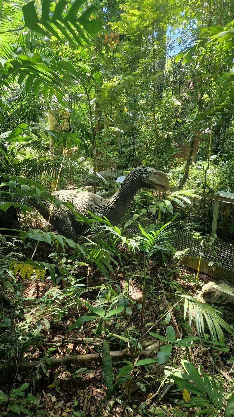 A life-size model of a giant prehistoric bird in the rainforest beside the boardwalk