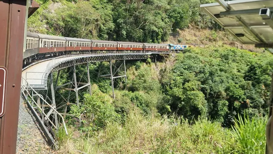 The Kuranda Scenic Railway's carriages curving across a steel bridge over rainforest